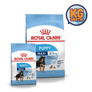 Royal Canin Maxi Puppy 15 Kg + 3 Kg Gratis