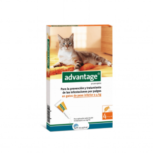 Pipeta Advantage G para Gatos - Hasta 4kg