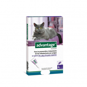 Pipeta Advantage G para Gatos - De 4 a 8kg